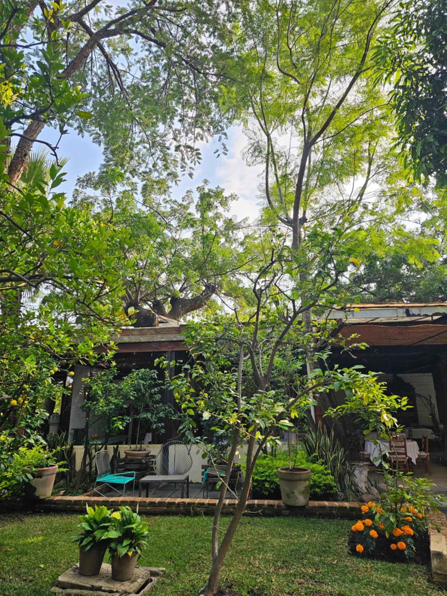 Casa Limon Malinalco Exterior foto