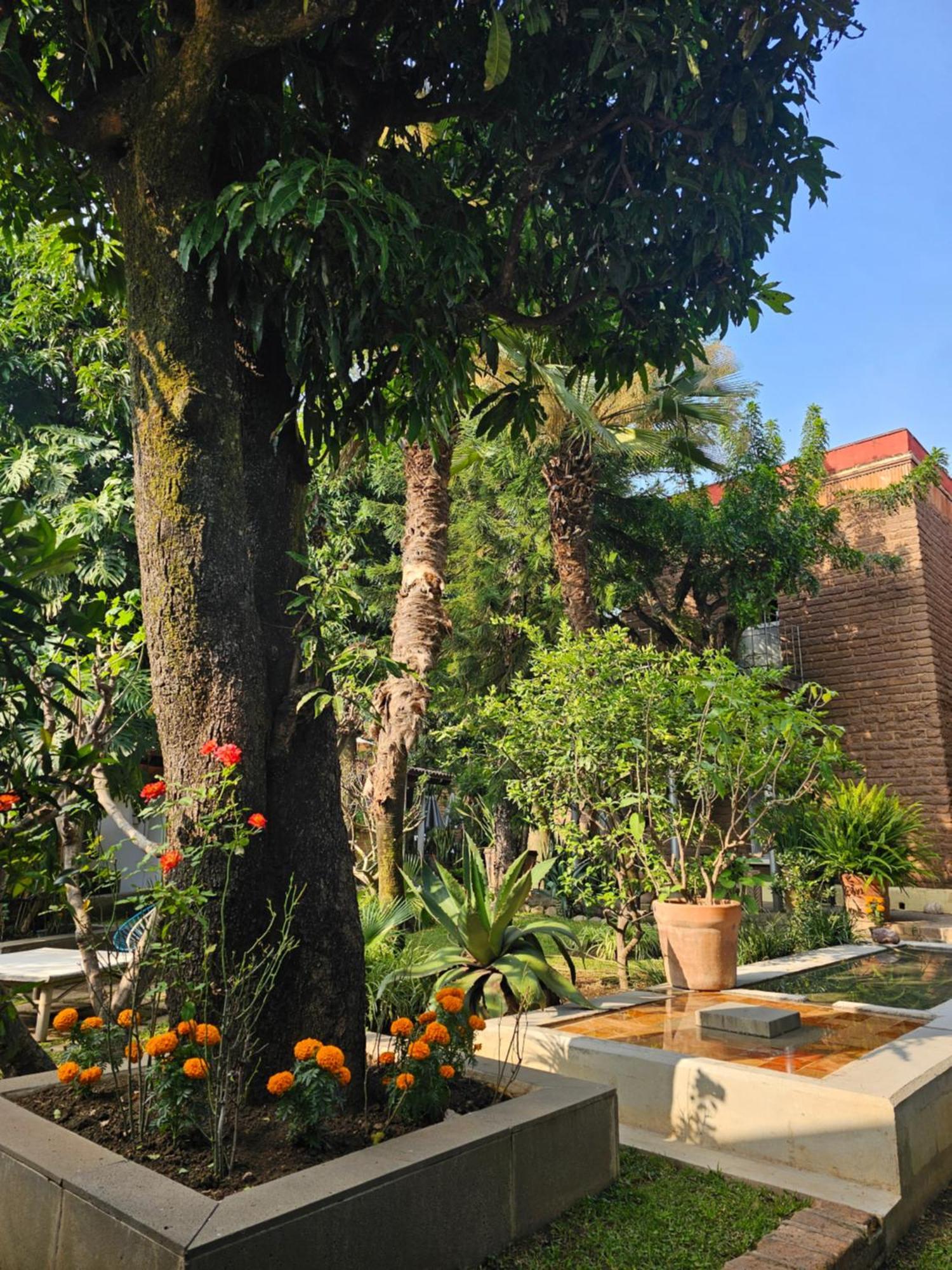 Casa Limon Malinalco Exterior foto