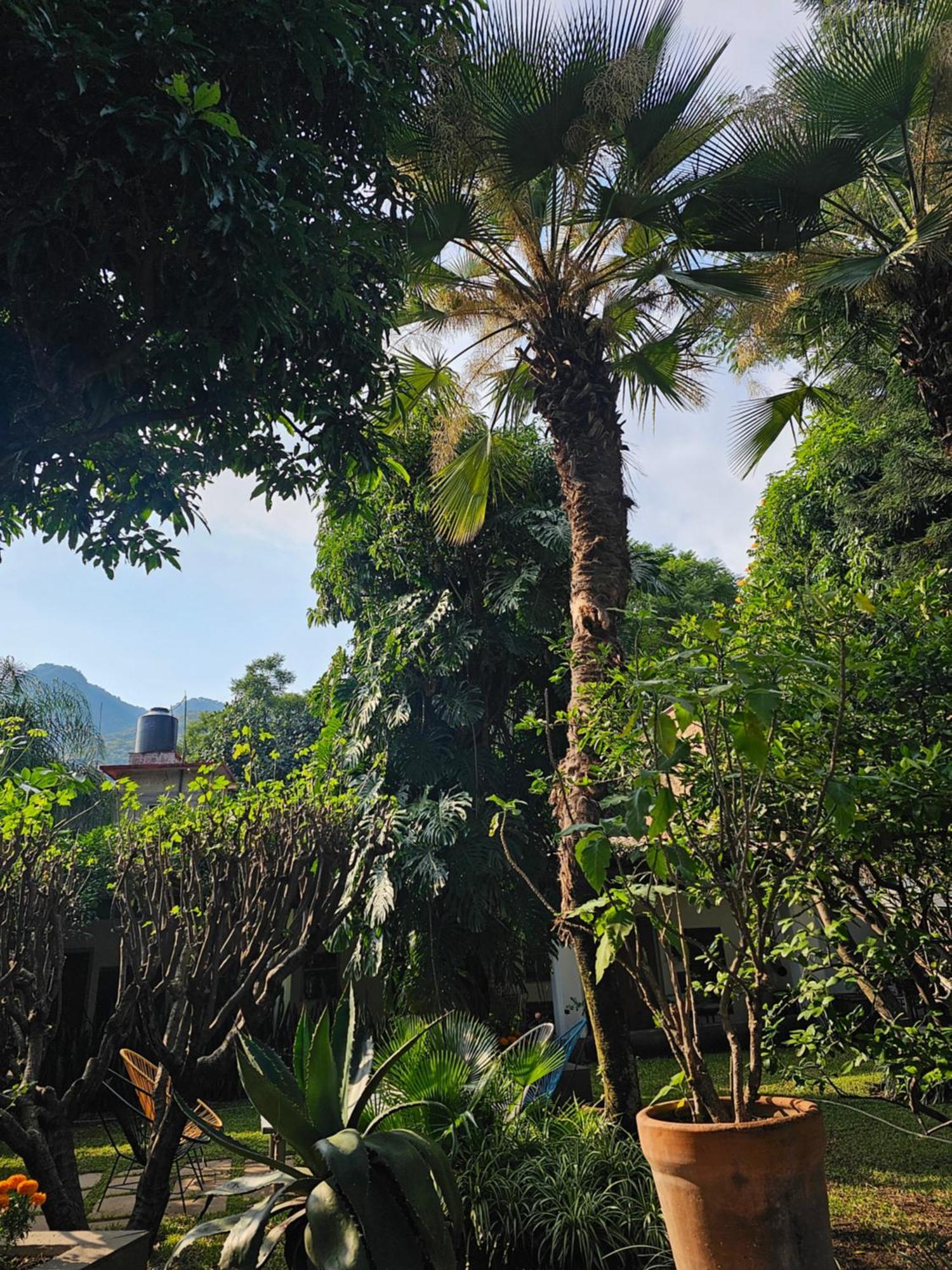 Casa Limon Malinalco Exterior foto